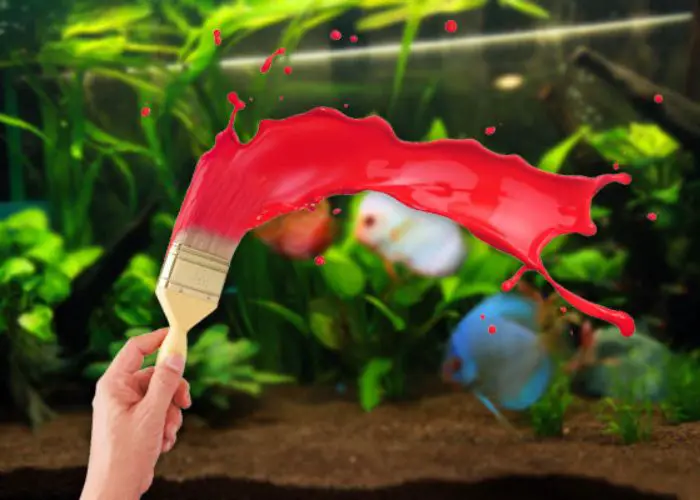 Is Acrylic Paint Safe for Aquariums