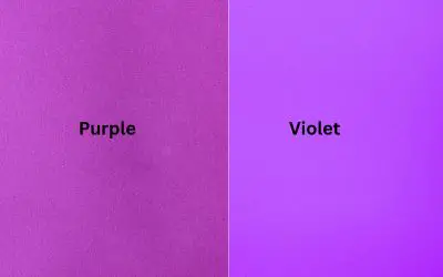 Purple Vs. Violet