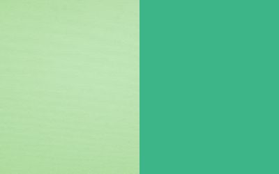 sage green vs mint green
