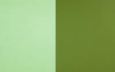 sage green vs olive green