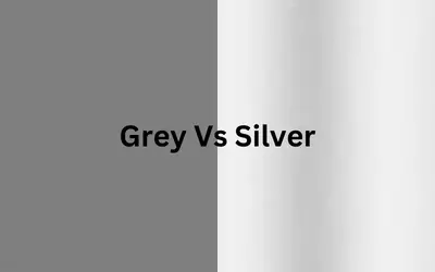 Grey Vs Silver