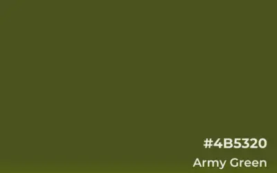 Image of army green color