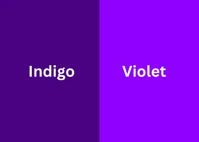 Indigo vs Violet