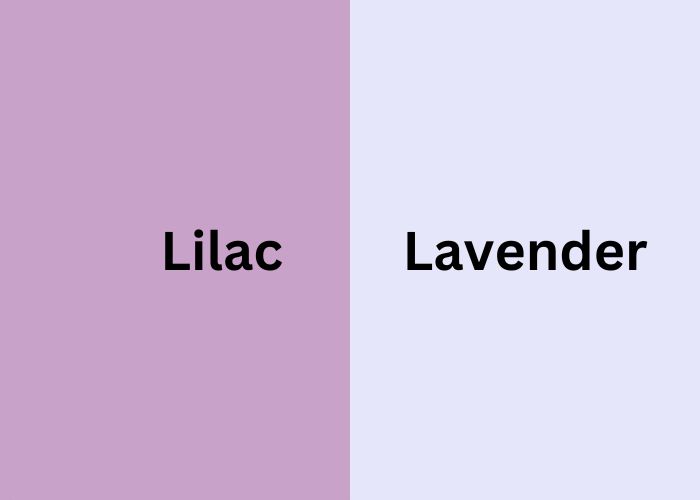 Lilac Color Vs Lavender