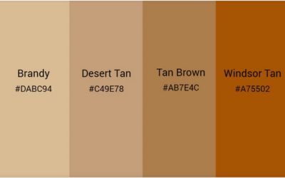 Different Shades of Tan Color 