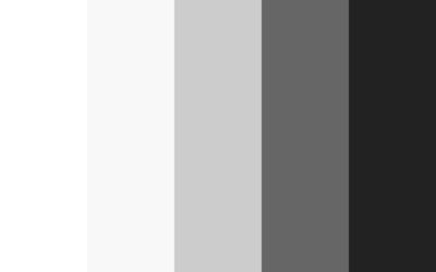 Color Combinations for Silver