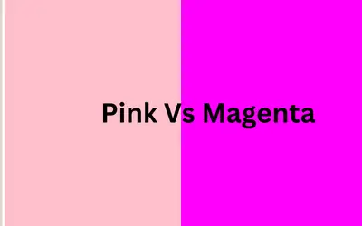 Pink Vs Magenta